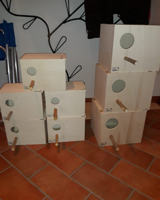 Nidi per