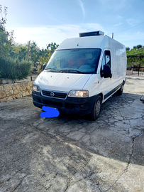 Fiat Ducato coebendato frigo