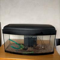 acquario 120 litri 