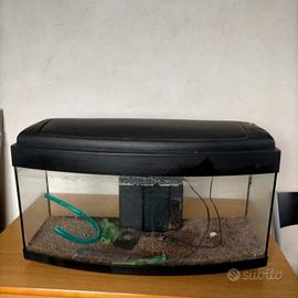 acquario 120 litri 