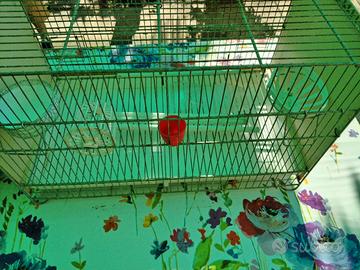 GABBIE PER CANARINI /  INSEPARABILI   
