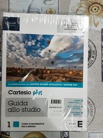 libro di matematica per licei cartesio plus 
