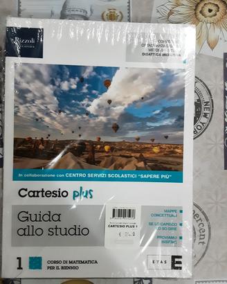 libro di matematica per licei cartesio plus 