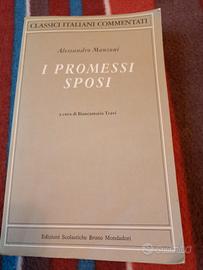 I promessi sposi + critica 