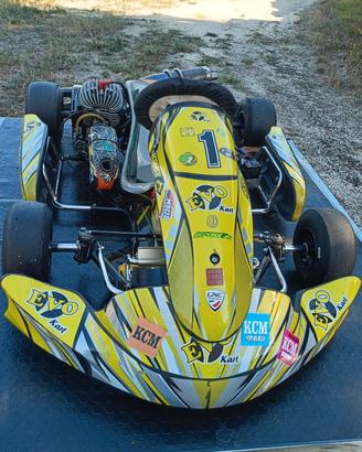 Kart 60  Evo kart