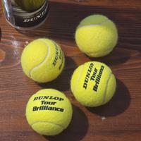 Set di palle da Tennis della Dunlop