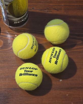 Set di palle da Tennis della Dunlop