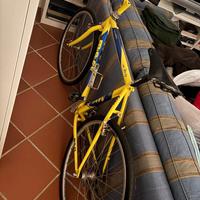 BICICLETTA ALBERTO MASI