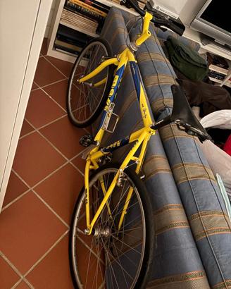 BICICLETTA ALBERTO MASI