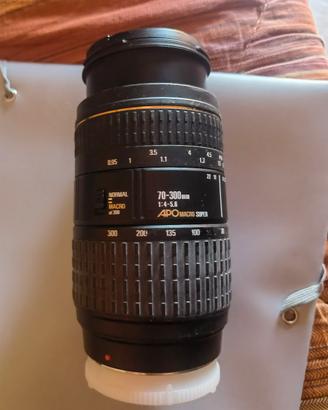 sigma 70 300 apo macro x sony alpha