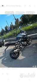 Triumph Tiger Sport 800 - Perfetta