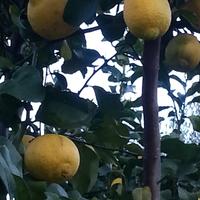 Ripetizioni economia aziendale su Roma