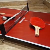 Ping Pong  Mini da tavolo 