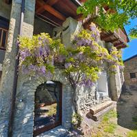 Baita alpina ristrutturata con giardino privato