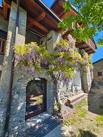 Baita alpina ristrutturata con giardino privato