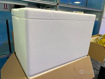 Box termici