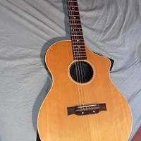 Line 6 Variax acoustic 300