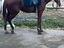 Immagine 4