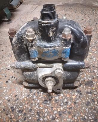 pompa per diserbo o per pescare acqua 
