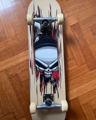 Skateboard blind