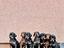 Immagine 6