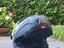 Immagine 5
