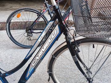 BICI CARNIELLI CX 50