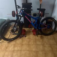 Banshee Downhill