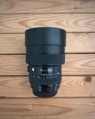 Sigma 14-24mm f/2.8 attacco canon