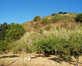 Terreno agricolo zona Nicolosi