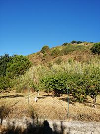 Terreno agricolo zona Nicolosi