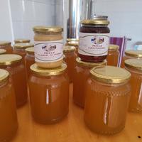 apicoltura  del Piemonte