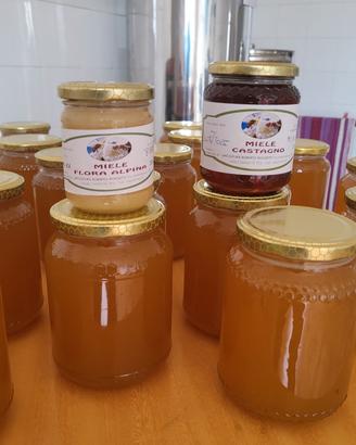 apicoltura  del Piemonte