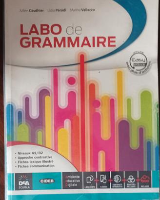 Libro di Testo Labro de Grammaire