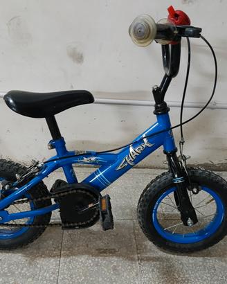 bicicletta 