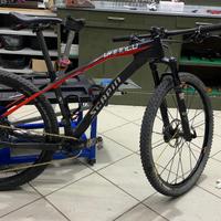 Mtb29 carbonio