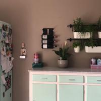 Giardino erbe aromatiche interno