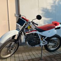 Honda XR 600 Dall'Ara 1998