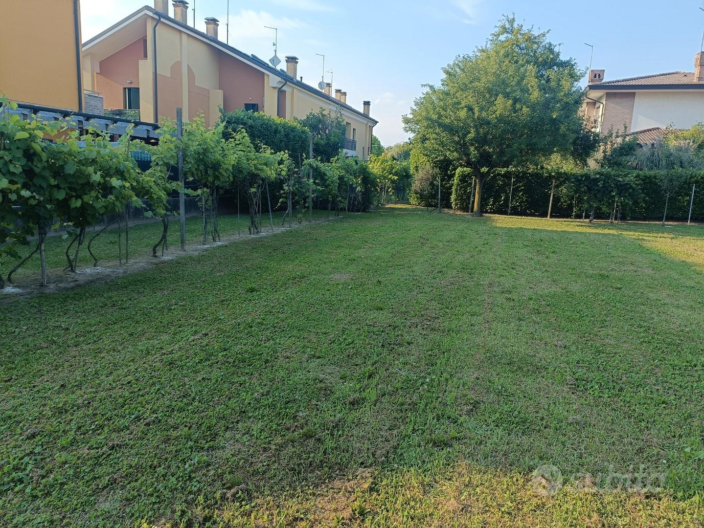Terreno edificabile recintato - Vista 4