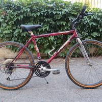 Mountain Bike Vicini