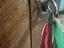 Immagine 5