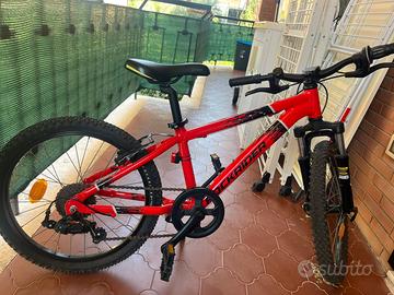 Rickrider 900 st