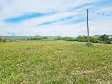 Terreno di mq 3500- Possibilità di edificare T/156