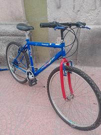 bicicletta da uomo 