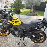 Suzuki V Strom DL 650 - 2019