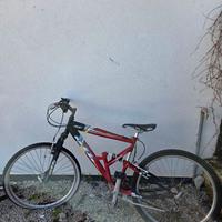 Lotto 5 Mountain Bike Frejus – Faema – Otto | Tela