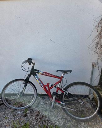 Lotto 5 Mountain Bike Frejus – Faema – Otto | Tela