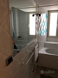 Bravetta-ampio loft di mq 80 con giardino privato