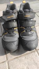 Scarpe Geox Amphibiox 