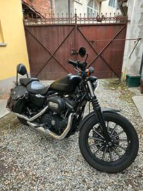 harley iron 883 sportster 2011